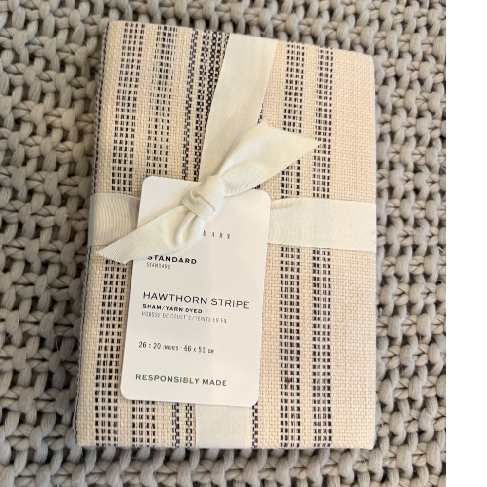 Pottery Barn Hawthorn Stripe Standard Sham Yarn Dyed Neutral 26x20 New